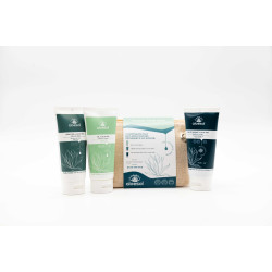 Aloesol Trousse Tonic Body à l'Aloe Vera Crème Pieds + Gel Hydratant + Gel Musculaire 3x100ml