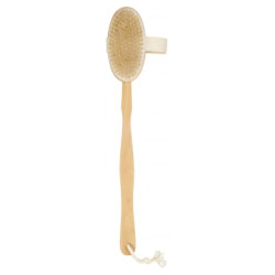 Cartel Brosse de Bain Démontable Bois et Soie
