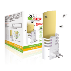 Prise Attrape Insectes