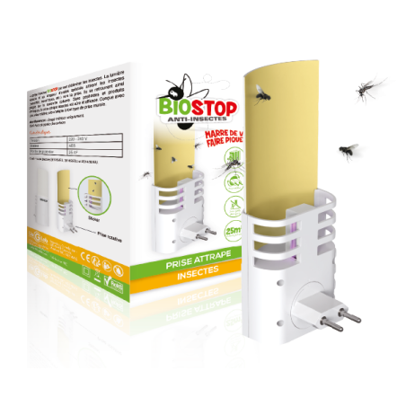 Prise Attrape Insectes