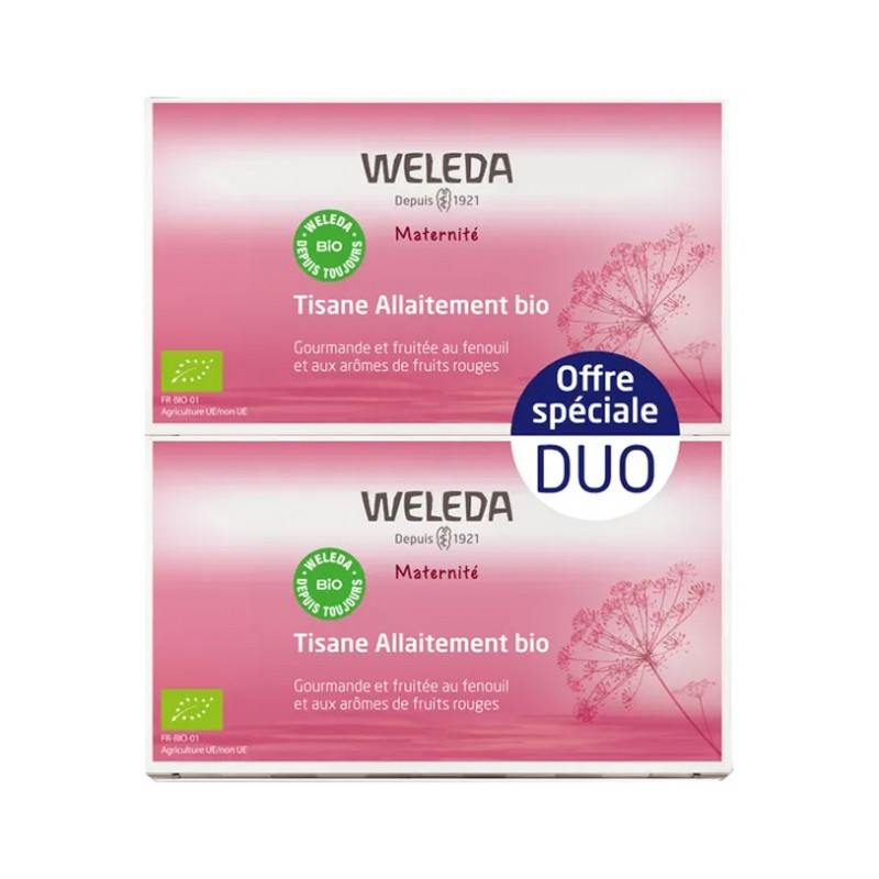 Maternité Tisane Allaitement Fruits Rouges Bio Lot de 2 x 20 Sachets Maternité Tisane Allaitement Fruits Rouges Bio Lot de 2 x 20 Sachets