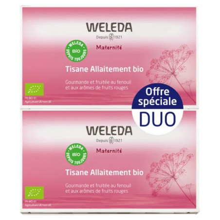 Maternité Tisane Allaitement Fruits Rouges Bio Lot de 2 x 20 Sachets